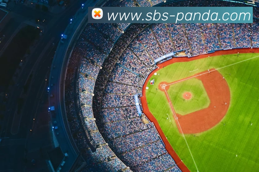 App Interface Preview