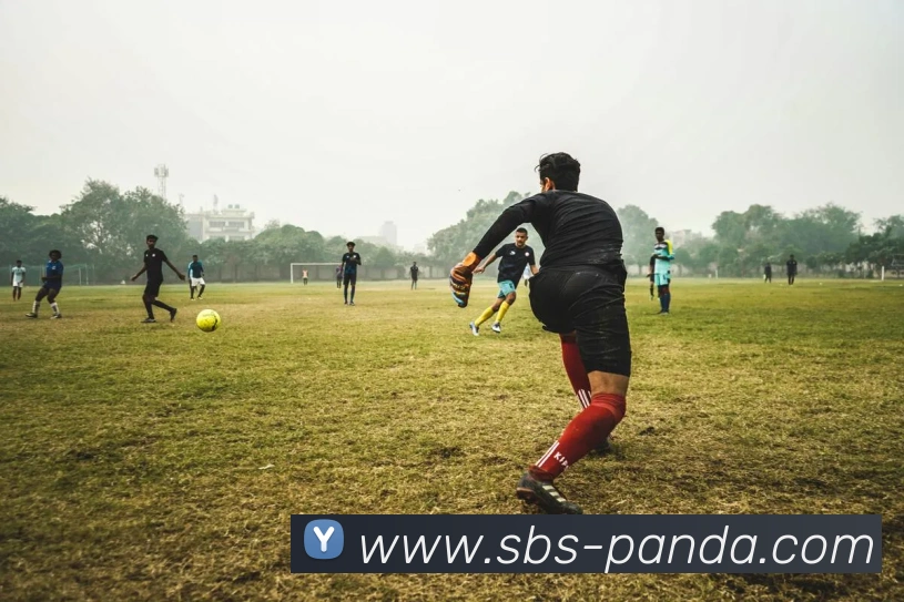 熊猫体育下载APP 封面图